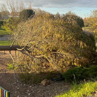 Este es el estado del paseo del Rivillas dos meses después del tren de borrascas
