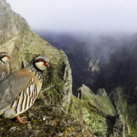 Esta es la fotografía que ha ganado el concurso de FIO en Extremadura