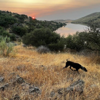 La Diputación ayudará a los cazadores para recuperar la caza menor