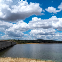 Repoblación en el embalse de Alcollarín tras "errar y tener que volver a empezar"