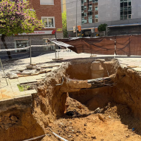 Aparecen restos óseos en una obra en plena avenida de Huelva en Badajoz