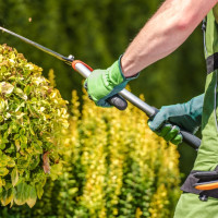 El DOE publica ayudas para que los ayuntamientos contraten a desempleados en Extremadura