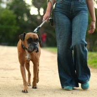 Badajoz impulsa charlas sobre convivencia con mascotas y adopción responsable