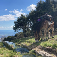 La Junta de Extremadura amplía su catálogo de montes protectores