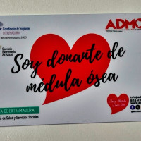 Los centros educativos de Mérida realizan una marcha a favor de la donación de Médula Ósea