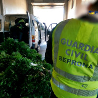 Detenidas 10 personas por expoliar cerca de mil toneladas de lentisco