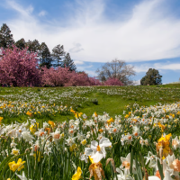 La primavera ya está aquí: más luz, días más largos y un tiempo marcado por la incertidumbre
