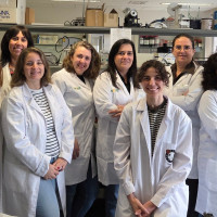 Un equipo de la UEx descubre cómo evitar infecciones en implantes con frutas y verduras