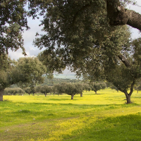 ADENEX pide frenar la venta de la finca La Serrezuela: "Sería una pérdida irreparable"