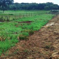 Denuncia el uso de glifosato en Extremadura: "¿Diseminan veneno en nuestras carreteras?"