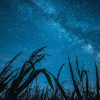 La Cocosa invita a mirar al cielo con una observación astronómica