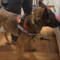 Detenido un traficante de cocaína que operaba entre Madrid y Cáceres