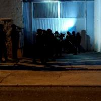 Macrooperación contra el tráfico de drogas: más de 10.000 plantas incautadas