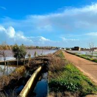 El campo critica las ayudas por las borrascas: "El Gobierno excluye a más de media Extremadura"
