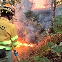 Las oposiciones para 195 bomberos forestales y 29 agentes del Medio Natural ya tienen fecha