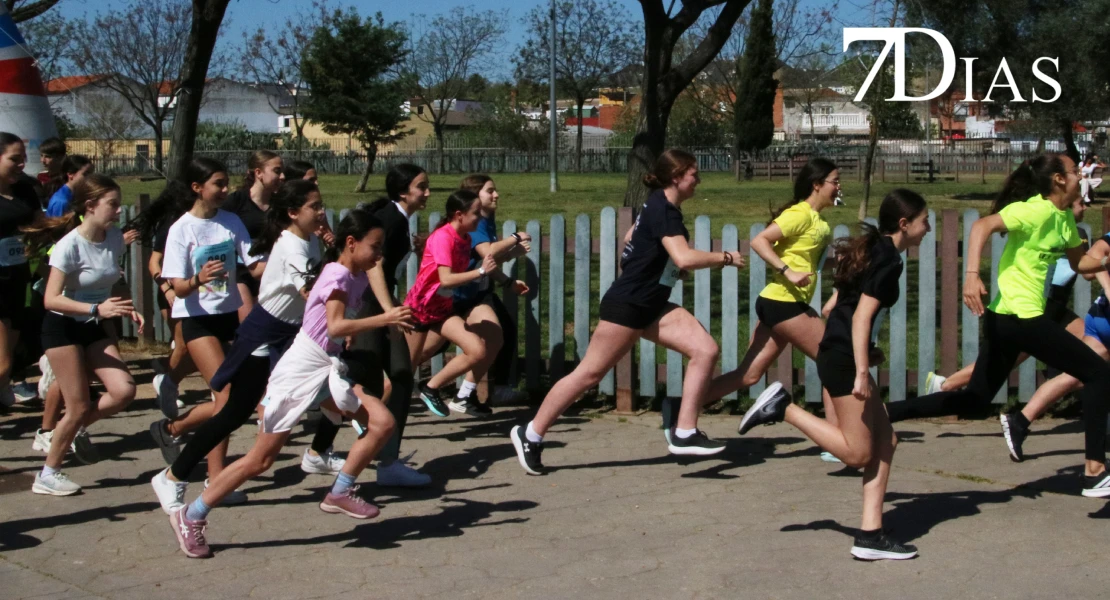 Descubre la propuesta saludable del IES Bioclimático en favor del Banco de Alimentos