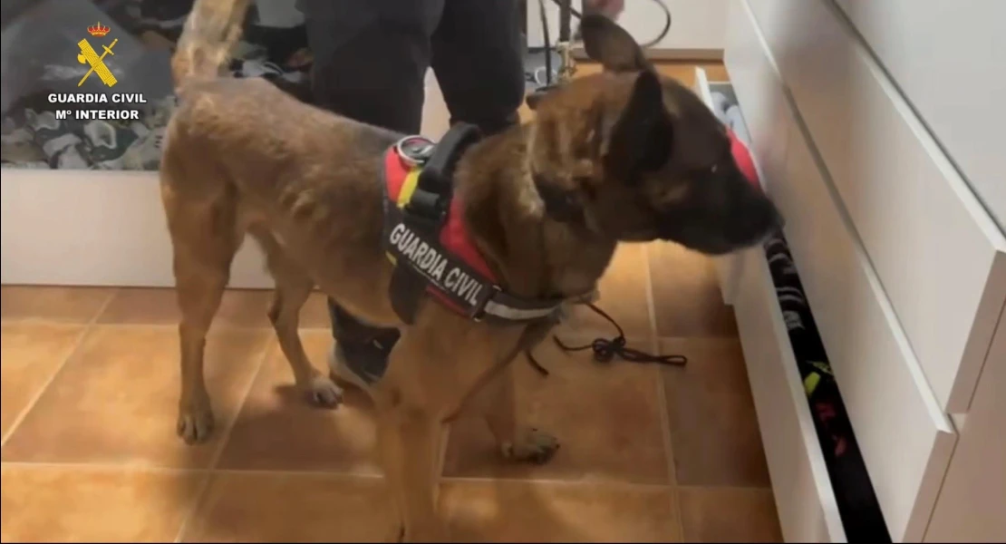 Detenido un traficante de droga que operaba entre Madrid y Cáceres