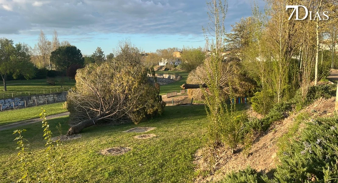 NO PUBLICAR: Así está el parque del Rivillas dos meses después del episodio intenso de borrascas