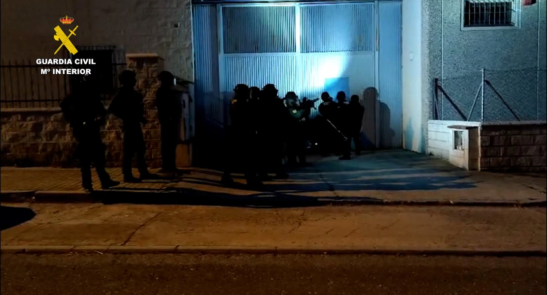 Macrooperación contra el tráfico de drogas: más de 10.000 plantas incautadas