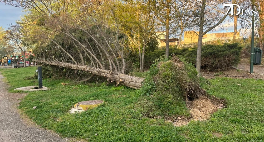 NO PUBLICAR: Así está el parque del Rivillas dos meses después del episodio intenso de borrascas