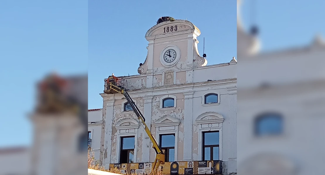 Denuncian las obras del Ayto. de Mérida por afectar a una pareja de cigüeñas