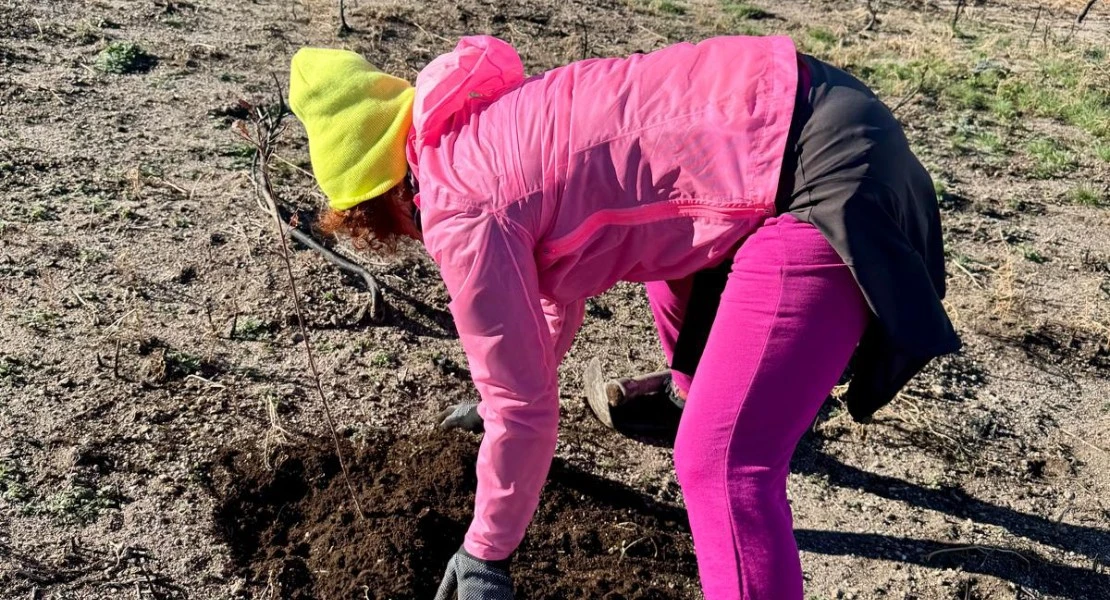 Ponen en marcha un plan para restaurar el medioambiente tras el grave incendio en Cabezabellosa