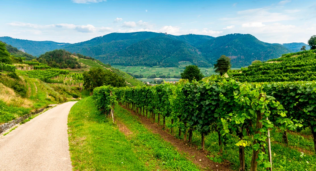 La Ruta del Vino y Cava Ribera del Guadiana lanza su I Premio Nacional de Periodismo