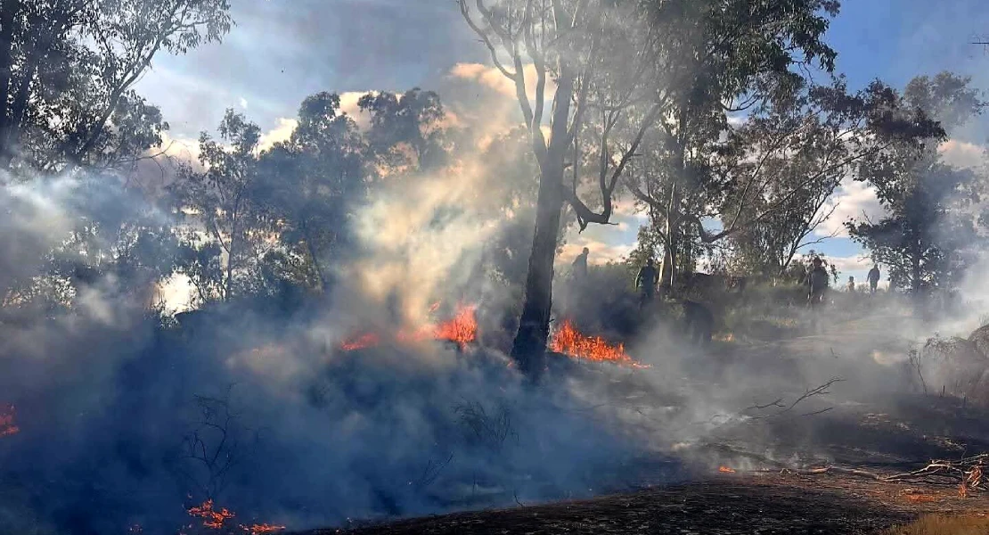 Bomberos trabajan contra un incendio forestal en Malpartida de Cáceres