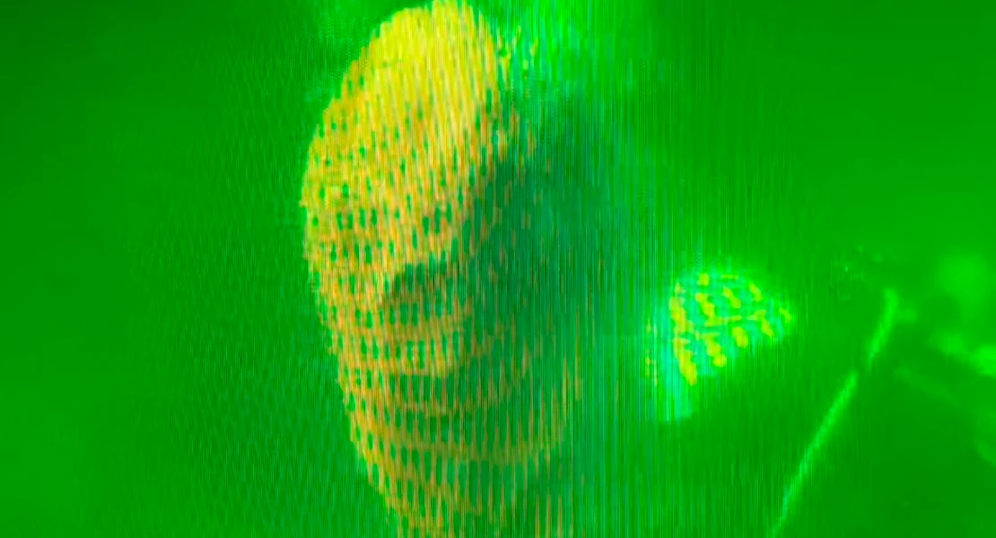 El embalse de Orellana acoge las prácticas conjuntas de buceo entre la Guardia Real y la Guardia Civil