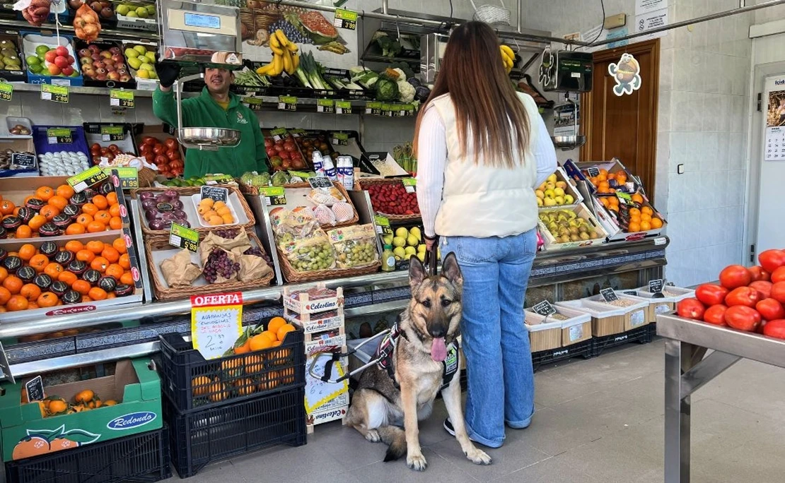 Perros guía de la ONCE en Extremadura reclaman su derecho de acceso a establecimientos de alimentación