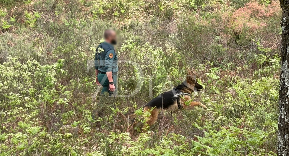 Paralizan la búsqueda sobre el terreno del desaparecido en Extremadura tras la gran batida