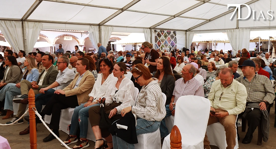 Del cerdo, hasta los andares: Barcarrota celebra su gran fiesta ibérica