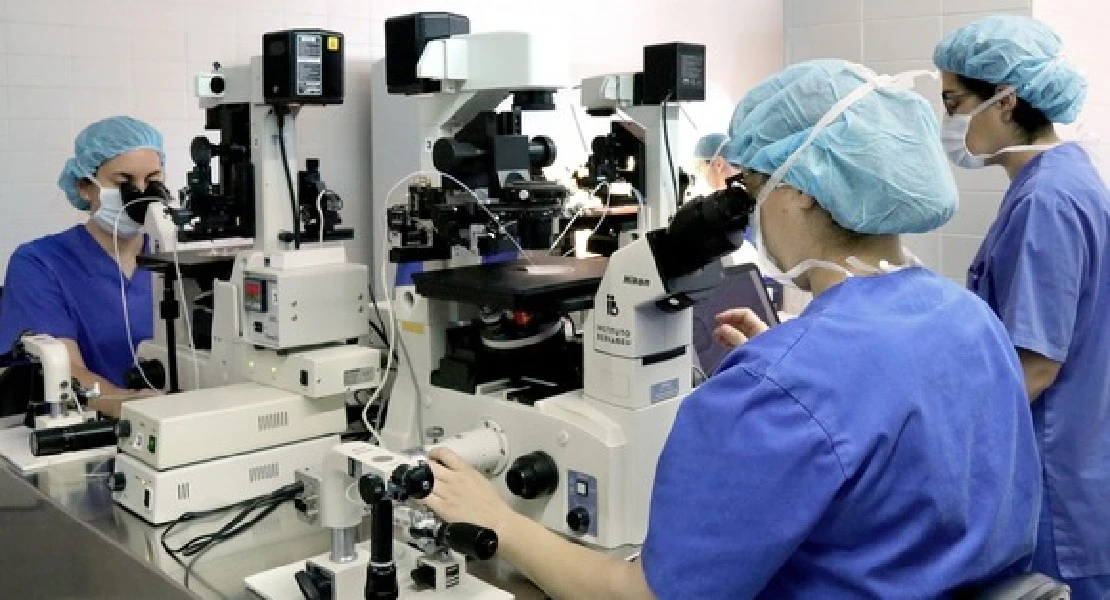 La calidad del semen se desploma en España