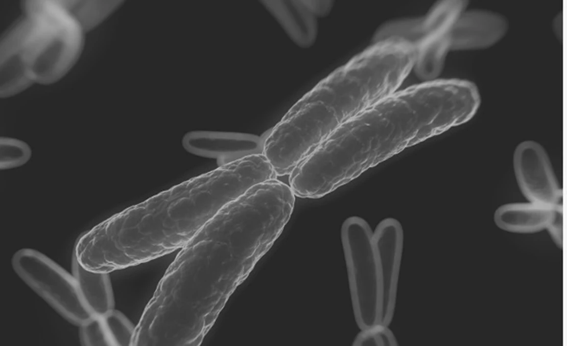 Mejorasen: una revolución biotecnológica para disparar la rentabilidad de la ganadería española