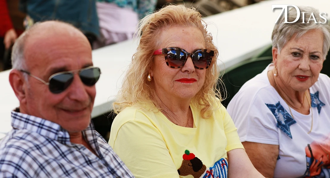 Del cerdo, hasta los andares: Barcarrota celebra su gran fiesta ibérica