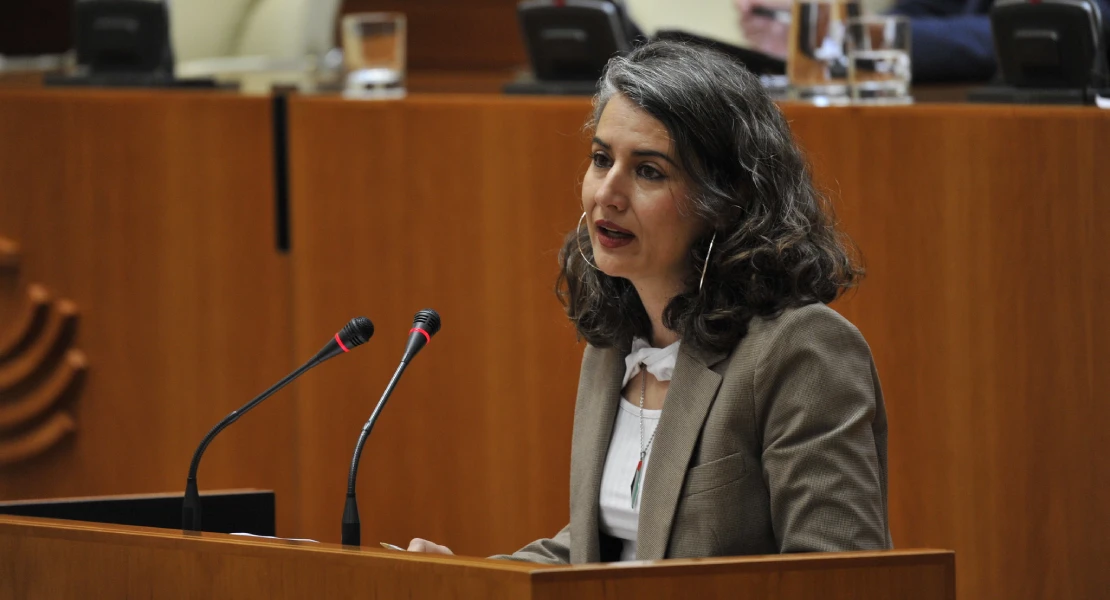 UpE abandona el pleno en oposición al Decreto "profundamente democrático" de PP y VOX