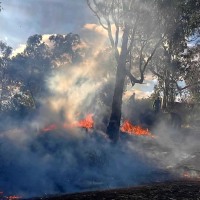 Bomberos trabajan contra un incendio forestal en Malpartida de Cáceres