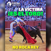 PACMA tras una nueva cogida grave en Sevilla: "La verdadera víctima sigue siendo el toro