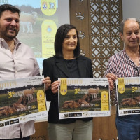 Los mejores mastines de España se darán cita en el Concurso Monográfico de Barcarrota
