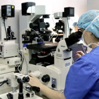 La calidad del semen se desploma en España