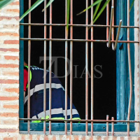 Se confirma: han robado el Tesoro de Villanueva en el Museo Arqueológico de Badajoz
