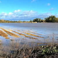 Agricultura abre el plazo para solicitar ayudas por los daños de las borrascas: hasta 25.000 €