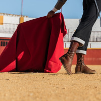 PACMA Extremadura pide la cancelación urgente de un encierro infantil