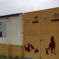 PACMA denuncia presunta mala praxis en el centro de protección animal de Badajoz