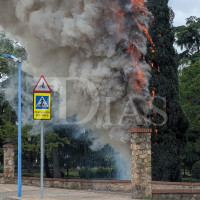 Sale ardiendo un gran árbol en el parque de la Legión de Badajoz