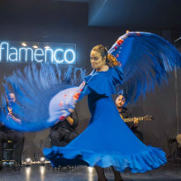 Marina Valiente deslumbra en el Tablao Íntimo Flamenco