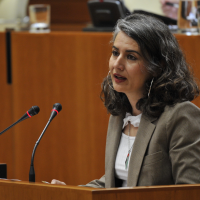 UpE abandona el pleno en oposición a un decreto "profundamente antidemocrático"