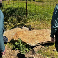 Recuperadas dos piezas arqueológicas de alto valor en una finca de Badajoz