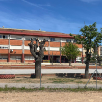 La Policía busca pruebas en el patio del colegio donde la niña recibió el disparo