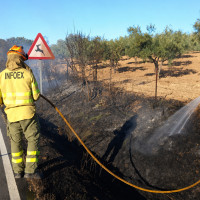 Este fin de semana se examinan los futuros bomberos forestales y agentes del Medio Natural